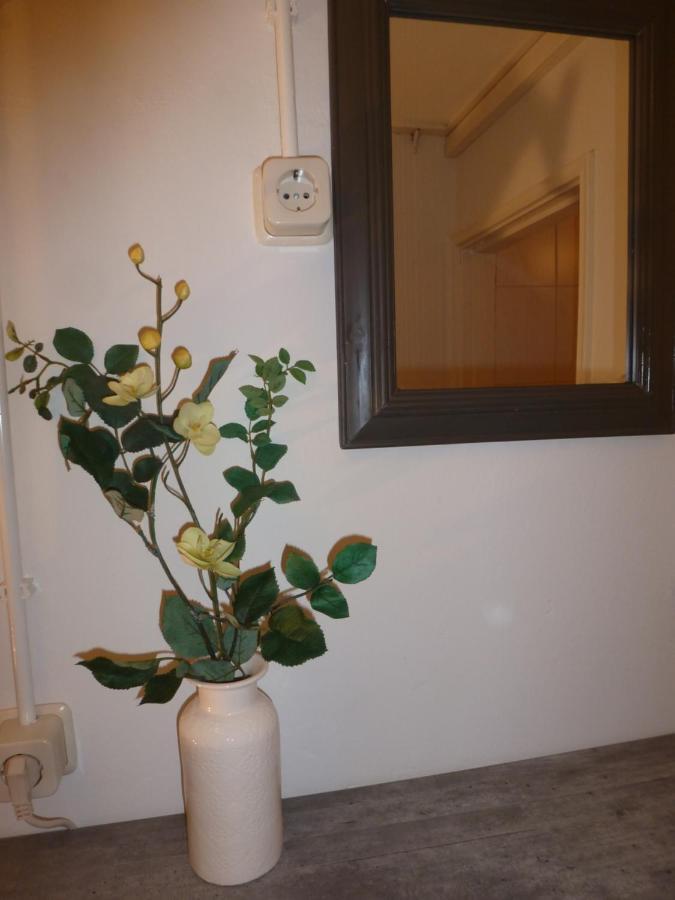 Huis De Roos De Kwakel المظهر الخارجي الصورة